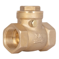 Обратный клапан лепестковый Thermo Alliance 3/4" ВВ (низкого давления)